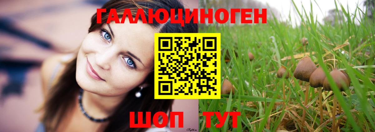 Псилоцибиновые грибы Psilocybine cubensis  Вход с VPN  где можно купить наркотик  Арзамас 